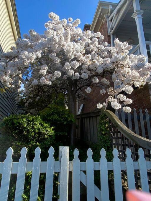 Charming Cottage Nestled In Prime Location Launceston Exteriör bild